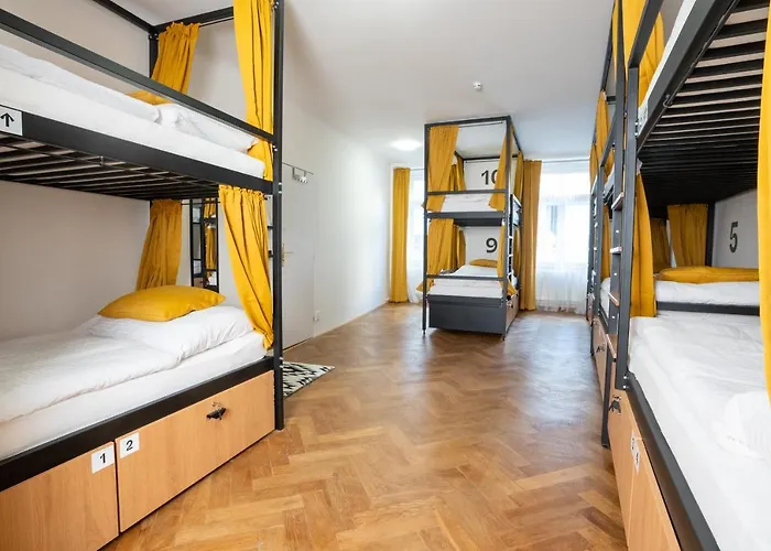 White Wolf House & Hostel