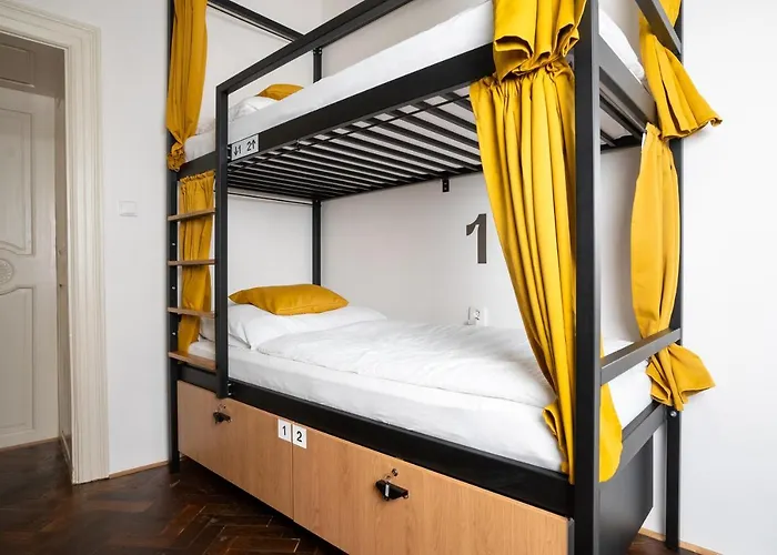 White Wolf House & Hostel